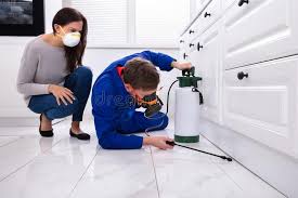 Best Bed Bug Extermination  in Unionville, MO